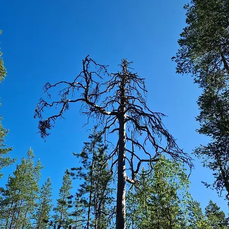 Raate Отель типа 