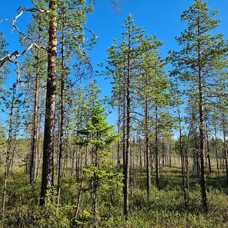 Raate Bed & Breakfast *