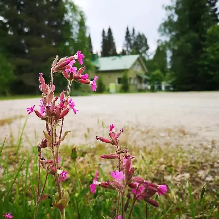 Raate Alojamento de Acomodação e Pequeno-almoço