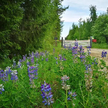 Bed & Breakfast Raate