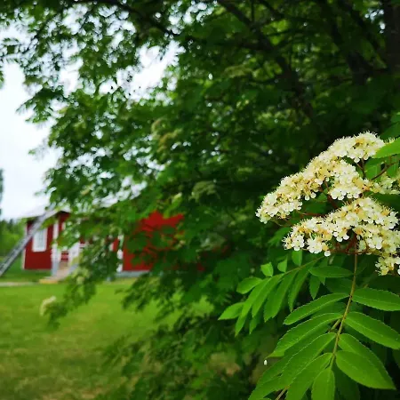 Bed & Breakfast Raate *