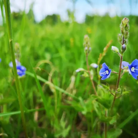 Raate Alojamento de Acomodação e Pequeno-almoço Suomussalmi