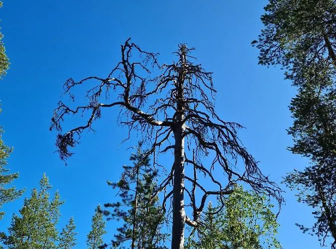 Raate Nocleg ze śniadaniem *