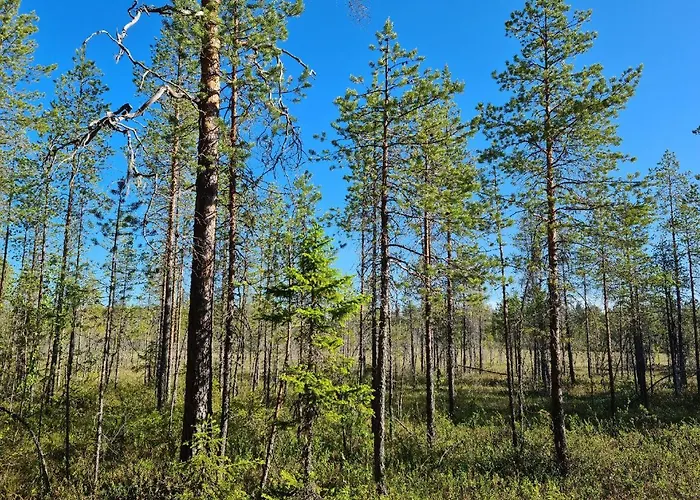 Raate Nocleg ze śniadaniem *