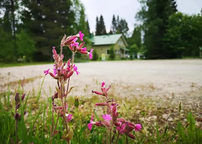 Raate Nocleg ze śniadaniem