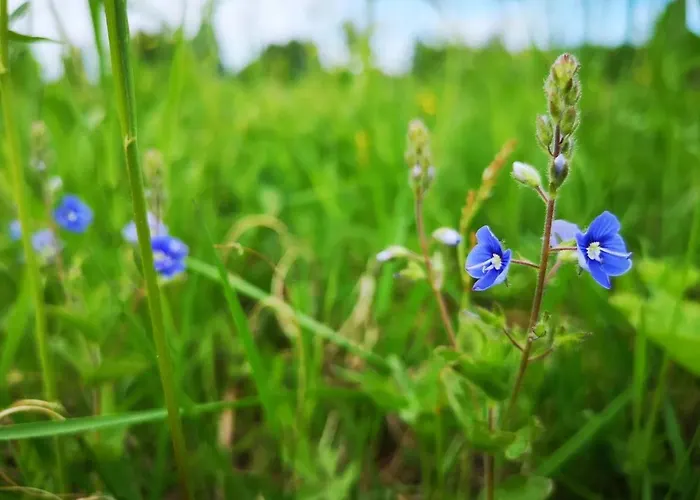 Raate Nocleg ze śniadaniem Suomussalmi